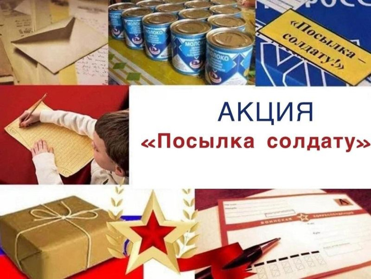 ОГКОУ Барановская ШИ патриотическая акция Посылка солдату.